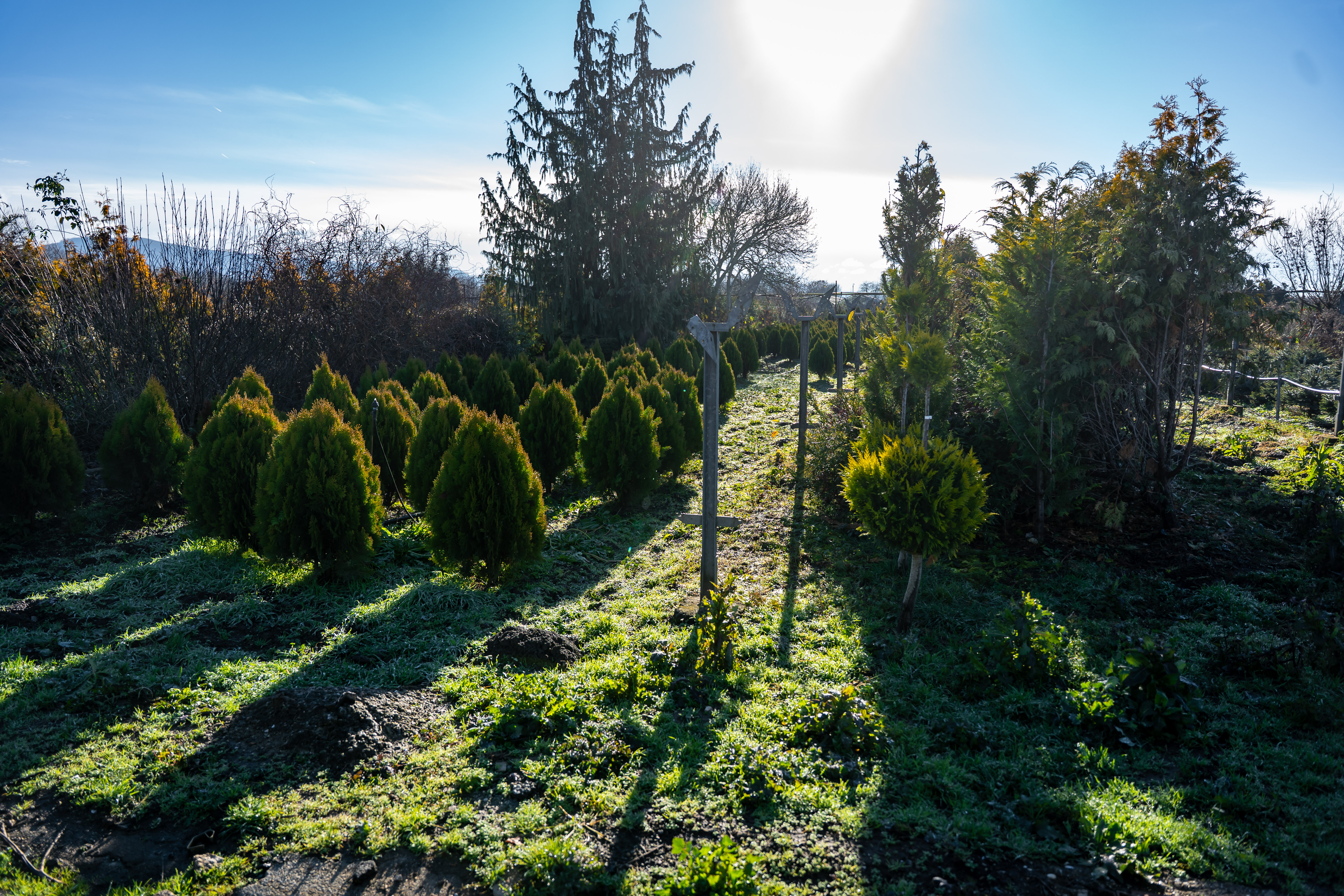 Kontrolna cinnost - Kompostaren mesta Kosice-31